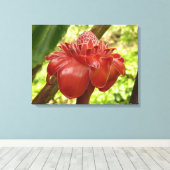 Toile Red Torch Ginger Tropical Flower Photographie (Insitu (Plancher de Bois))