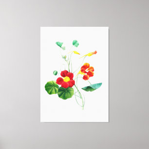 Toile Red Willow II Reverie : Botanique Vintage