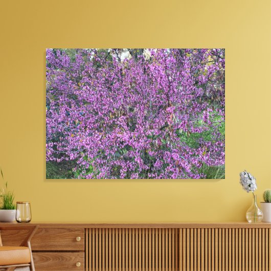 Toile Redbud occidental (Insitu(Salon))