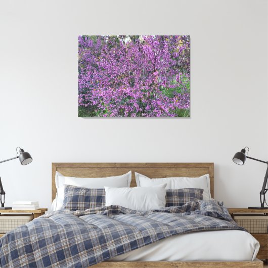 Toile Redbud occidental (Insitu(Chambre))