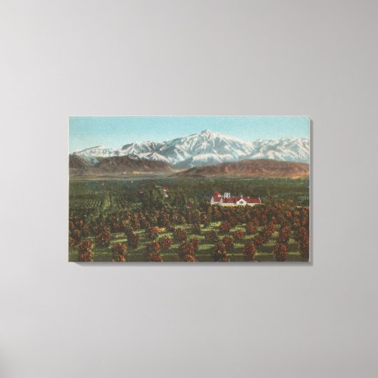 Toile Redlands, CA - Scène Mountain & Orchard (Recto)