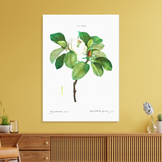 TOILE REDOUTÉ "MAGNOLIA" IMPRIMER CANVAS STRETCHÉ (Insitu(Salon))