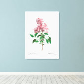 TOILE REDOUTÉ VINTAGE BOTANIQUE "LILAC CHINOIS" (Insitu (Plancher de Bois))