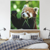 Toile RedPanda 002 (Insitu(Chambre))