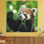 Toile RedPanda 002 (Insitu(Salon))