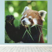 Toile RedPanda 002 (Insitu (Plancher de Bois))