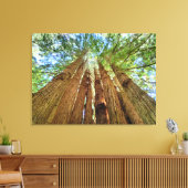 Toile Redwood Grove (Insitu(Salon))
