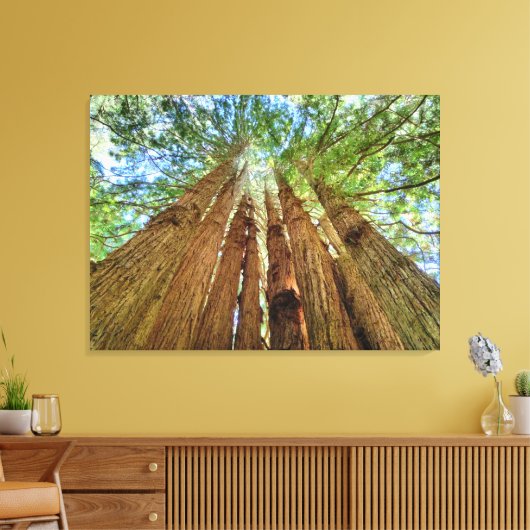 Toile Redwood Grove (Insitu(Salon))
