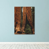 Toile Redwood Trees, Sequoia National Park. (Insitu (Plancher de Bois))