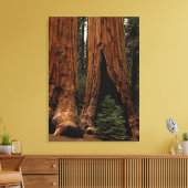 Toile Redwood Trees, Sequoia National Park. (Insitu(Salon))