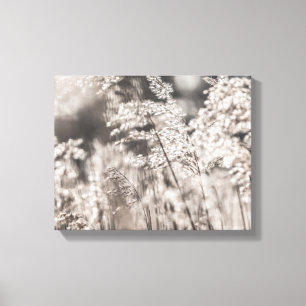 Toile Reed Nature Photo