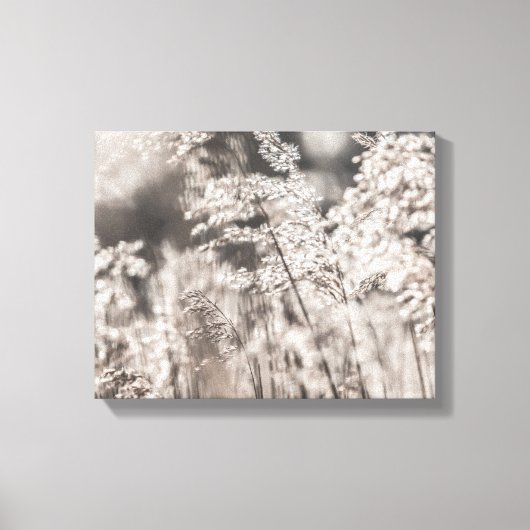Toile Reed Nature Photo (Recto)