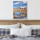 Toile Reflet d'étang de désert de cheval blanc Art (Insitu(Chambre))