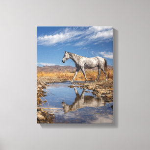 Toile Reflet d'étang de désert de cheval blanc Art