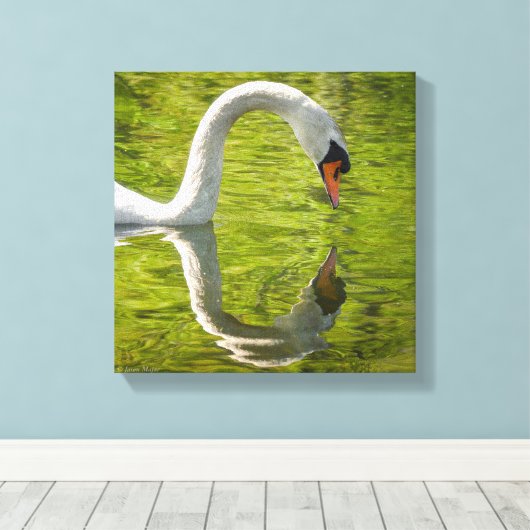 Toile Réflexion du cygne (Insitu (Plancher de Bois))