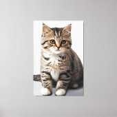 Toile Regard de chat perdu dans le temps (Recto)