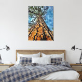 Toile Regarde ! (Insitu(Chambre))