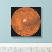 Toile Région de Mare Australe de Mars (Insitu (Plancher de Bois))