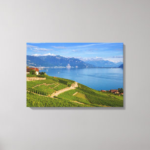 Toile Région du Lavaux, Vaud, Suisse