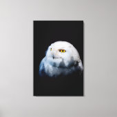 Toile reine de la forêt (Recto)