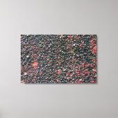 Toile remuer la canneberge (Recto)