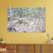 Toile Renard allongé (Insitu(Salon))