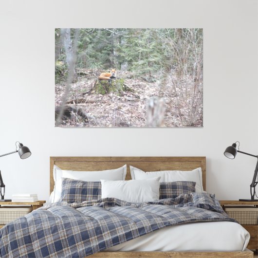 Toile Renard allongé (Insitu(Chambre))