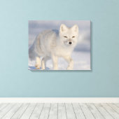 Toile Renard arctique, Alaska (Insitu (Plancher de Bois))
