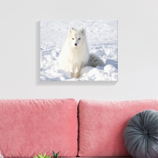 Toile Renard blanc (Insitu(Salon))