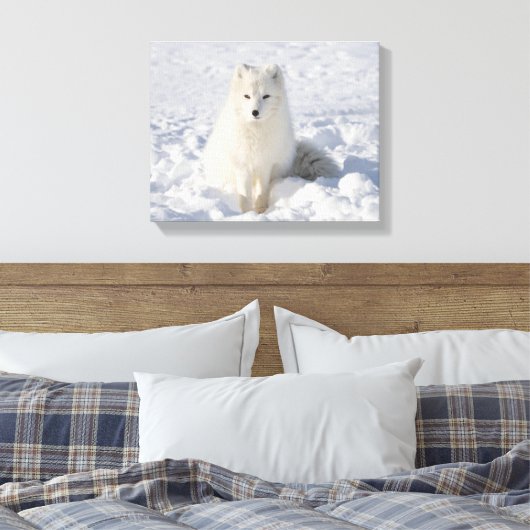Toile Renard blanc (Insitu(Chambre))