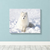 Toile Renard blanc (Insitu (Plancher de Bois))