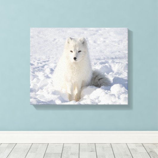 Toile Renard blanc (Insitu (Plancher de Bois))