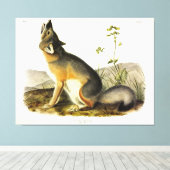 Toile Renard rapide (Vulpes Velox) des Quadrupeds d'Audu (Insitu (Plancher de Bois))