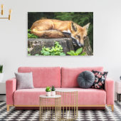 Toile Renard rouge au repos (Insitu(Salon))