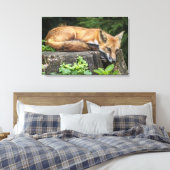Toile Renard rouge au repos (Insitu(Chambre))
