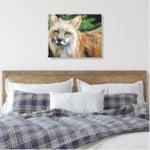 Toile Renard sauvage (Insitu(Chambre))