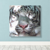 Toile Rencontre avec le tigre blanc (Insitu (Plancher de Bois))