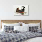 Toile Rencontre des canards Merganser à capuchon à l'éta (Insitu(Chambre))