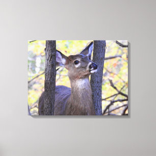 Toile Rencontre des cerfs dans les bois