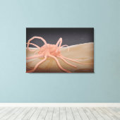 Toile Rendu 3D De La Phagocytose De Macrophage (Insitu (Plancher de Bois))