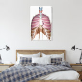 Toile rendu 3d du système respiratoire (Insitu(Chambre))