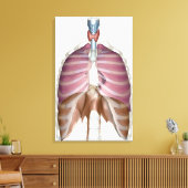 Toile rendu 3d du système respiratoire (Insitu(Salon))