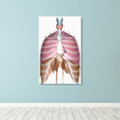 Toile rendu 3d du système respiratoire (Insitu (Plancher de Bois))