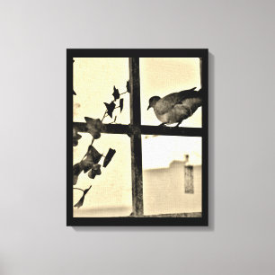 Toile Repose de colombe