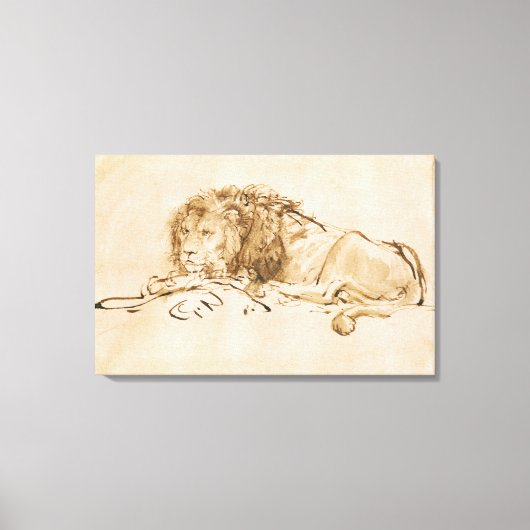 Toile Repose de lion (stylo et encre sur papier) (Recto)