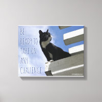 Reprendre la Motivation Mondiale des Chats Mets