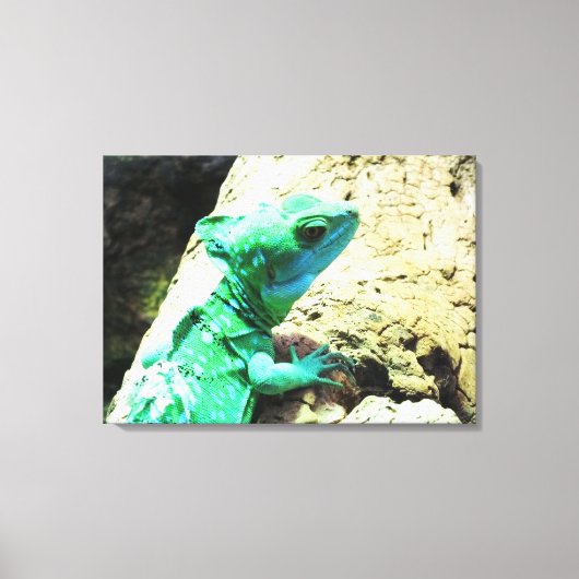 Toile Reptile de lézard de basilic vert (Recto)