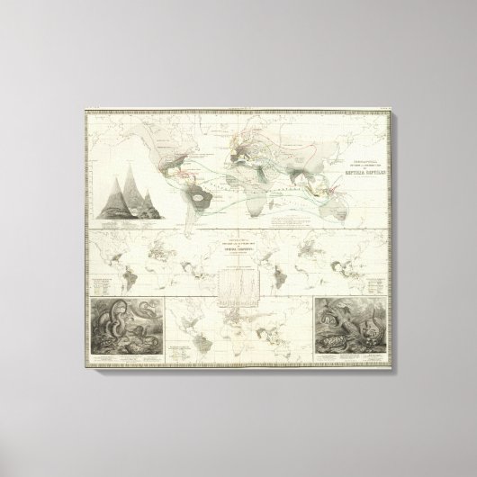 Toile Reptilia, Ophidia (Recto)
