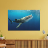 Toile Requin Baleine Nageant (Insitu(Salon))