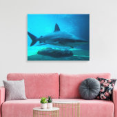 Toile Requin de nuit (Carcharhinus obscurus), Ushaka (Insitu(Salon))